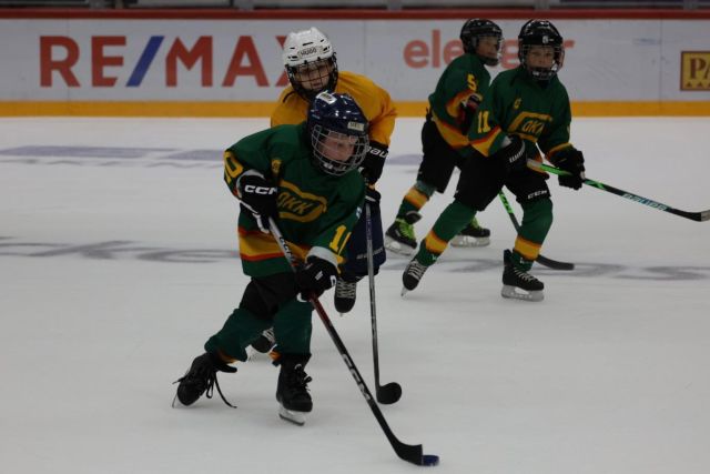 Jääkiekkoa pelaavia lapsia