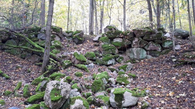 sammaleisia kivenmurikoita metsikön rinteessä, paljas syksyinen maa